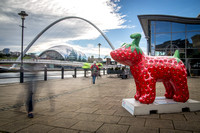 Great North Snowdogs, 2016 © Lee Gibbins Photography