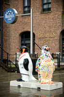 Go Penguins Liverpool, 2010 © Stephen King Photography