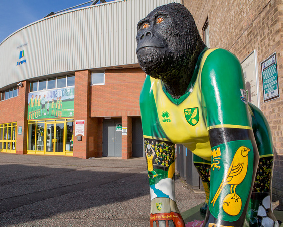 GoGoGorillas, Norwich 2013