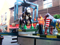 GoGoGorillas, Norwich 2013