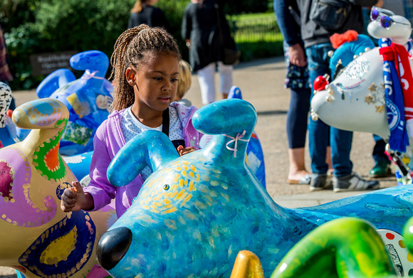 Snowdogs by the Sea Launch of  The Martlets Snowpups trail © Liz Finlayson/Vervate