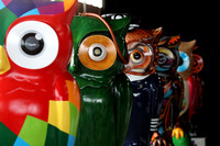 Images for AKL - Big Hoot