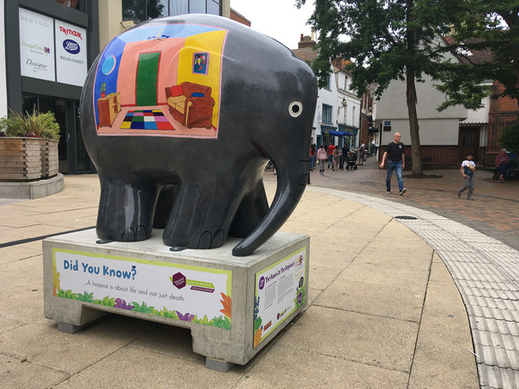 Elmer's Big Parade Suffolk © St Elizabeth Hospice