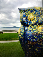 Images for AKL - images from Community Gallery