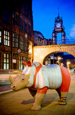 Rhino Mania Chester
