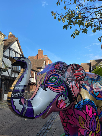 Worcester's Big Parade