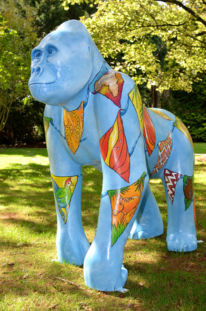 The Great Gorillas Project, English Riviera and Exeter, 2013
