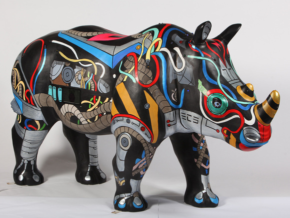 Go! Rhinos, Southampton, 2013