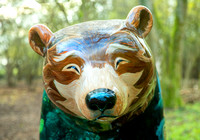 00. Bear Hunt Trail Photos